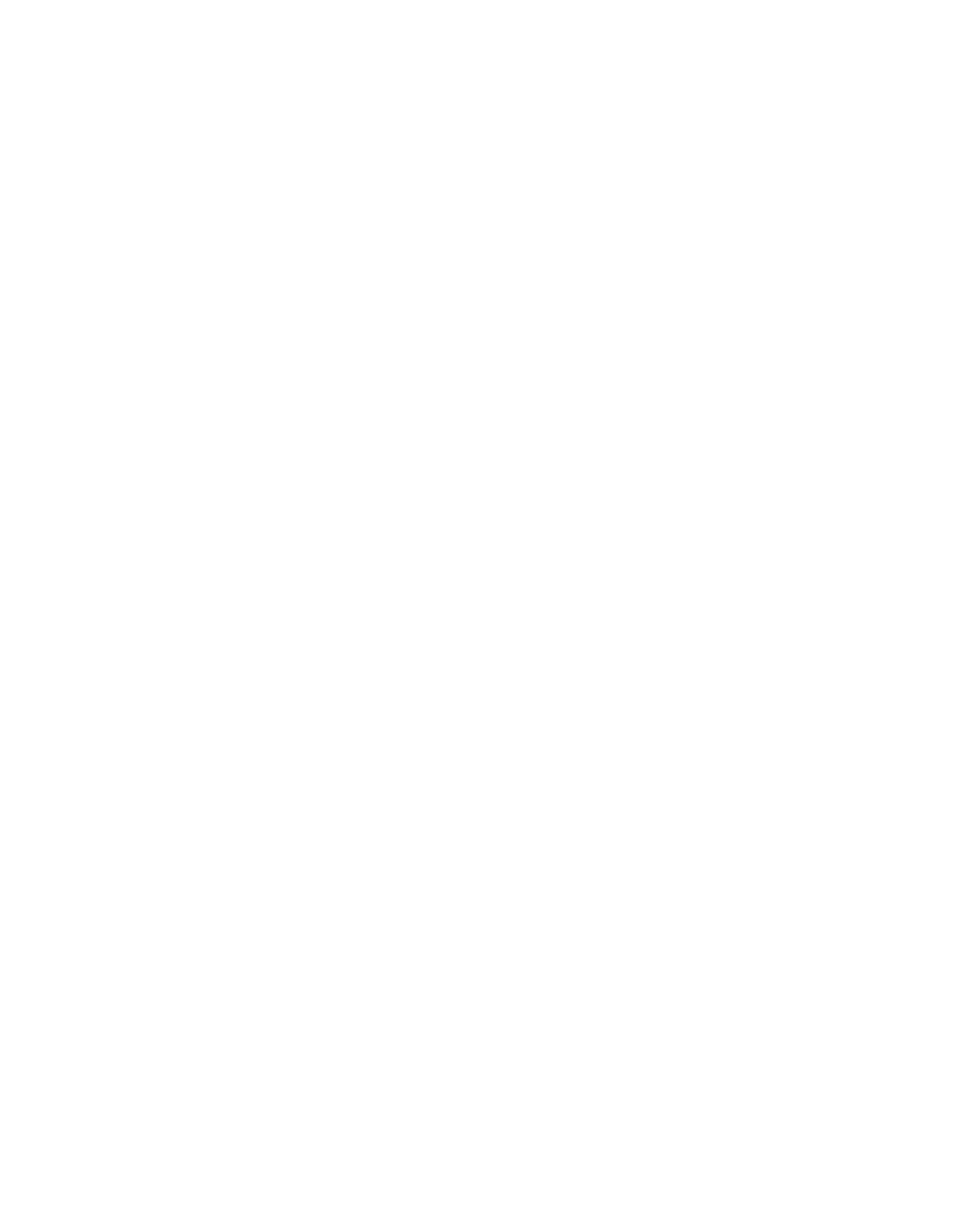 B91 Logo